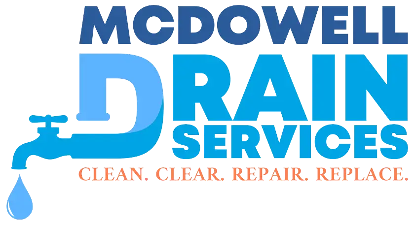 logo footer