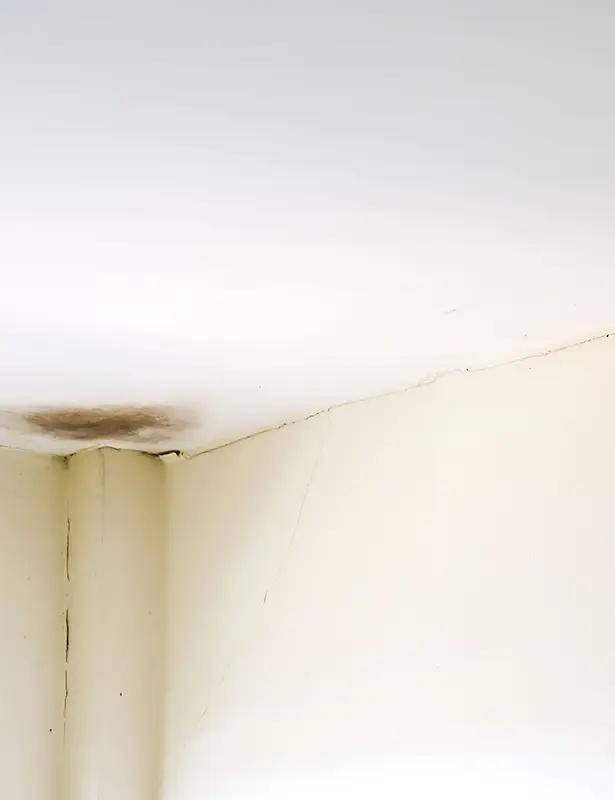 case study old town niagara