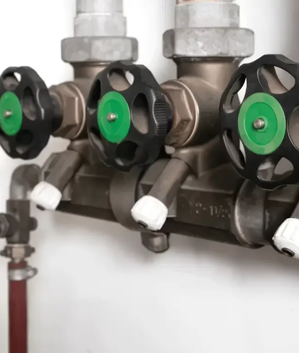 case study st davids