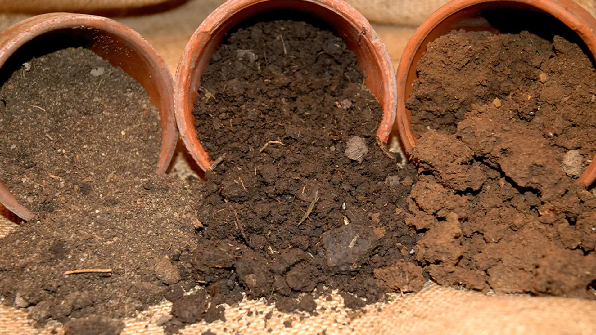 how soil type affects basement